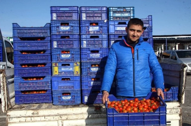 Kara Kış Antalya'da Çiftçinin Yüzünü Güldürdü