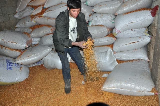 Baharat Yapımında Kullanılan 40 Ton Atık Madde İmha Edildi