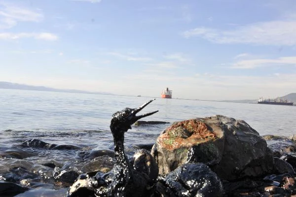 İzmit Körfezi'nde Limandan Sızan Yakıt Kirliliğe Yol Açtı