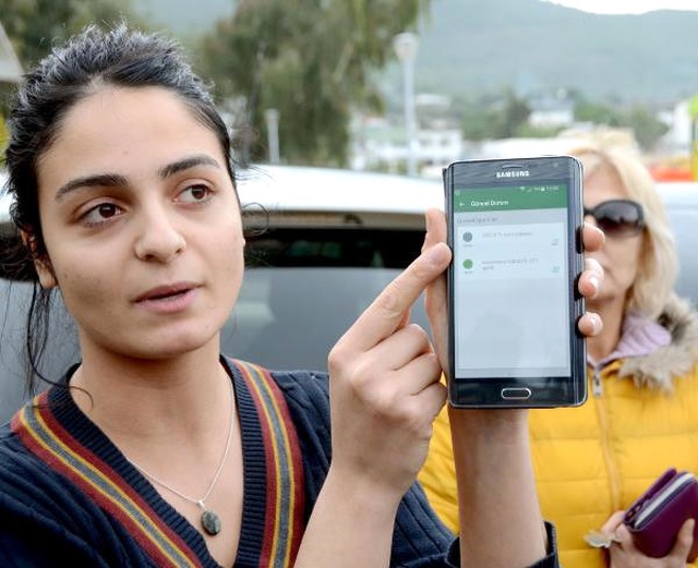 Bodrum'un Simgesi 12 Köpeğin Velayet Tartışması Karakolluk Etti