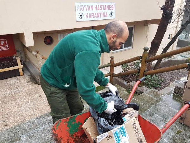 İzmit Körfezi'nde Yakıta Bulunan Karabataklar Tedaviye Alındı