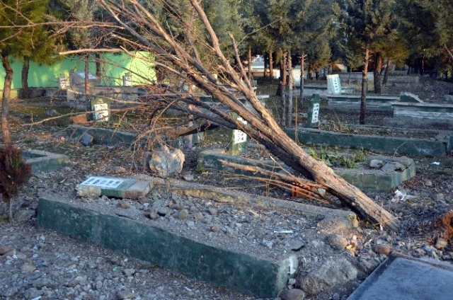 Diyarbakır Saldırısının Şiddeti Kan Dondurdu! Ağaçlar Köklerinden Sökülmüş