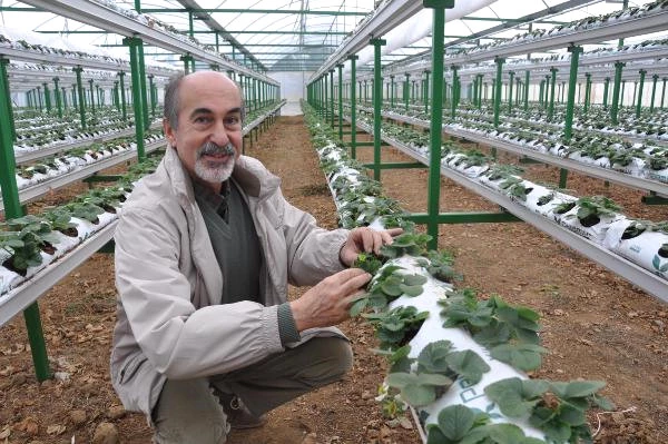 200 Bin TL Harcadı, 20 Ton Üretim Yapacak