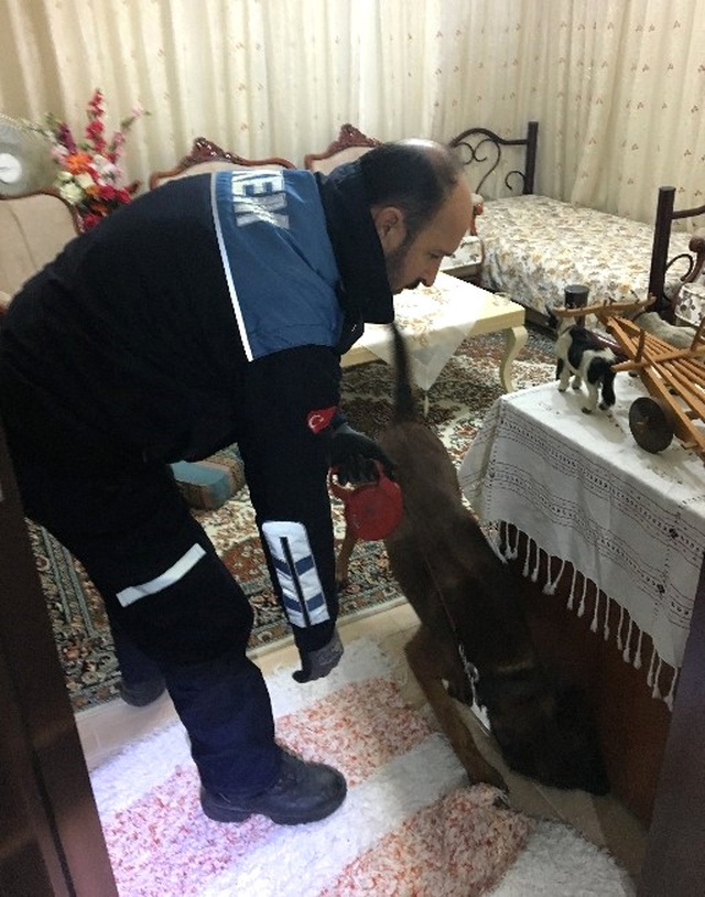 Adana Polisinden Uyuşturucu Baskını: 27 Şüpheli Tek Tek Yakalandı