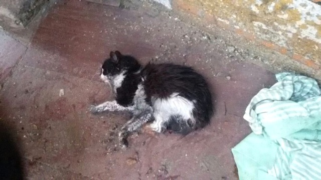 Manisa'da 444 Yıllık Tarihi Hamam Yanmaktan Son Anda Kurtuldu