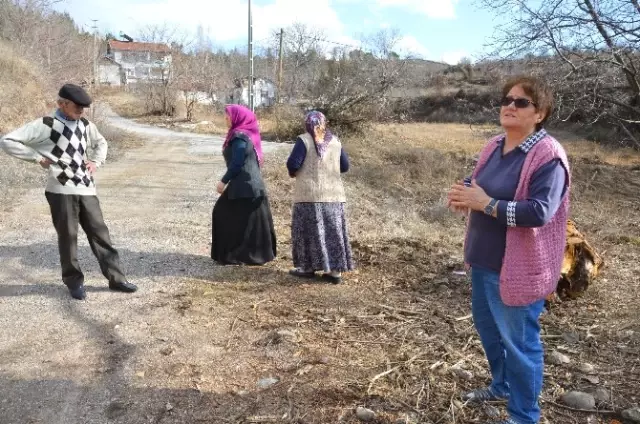 Vatandaşlar Tedirgin! Tokat'ta Mahalleliyi Ayı Korkusu Sardı