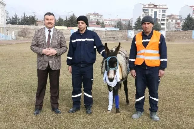 Fatih Altaylı'nın Sözüne Kızan Başkan Sahaya Eşekle Çıktı