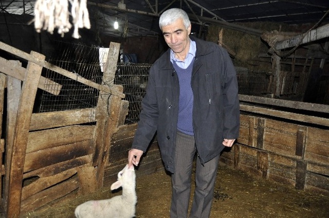 Çiftçi, Hayvanlarını Çalan Hırsızlara Seslendi: Hiç Değilse Analarını Getirin