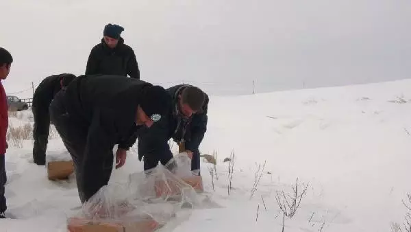 Ekipler, Kurtlar 'Köye İnmesin' Diye Doğaya Yiyecek Bıraktı