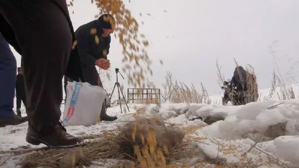 Ekipler, Kurtlar 'Köye İnmesin' Diye Doğaya Yiyecek Bıraktı