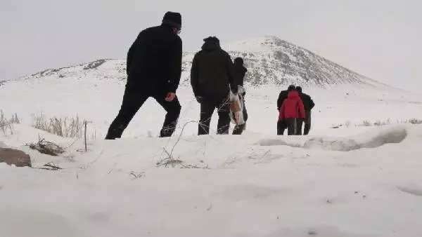 Ekipler, Kurtlar 'Köye İnmesin' Diye Doğaya Yiyecek Bıraktı