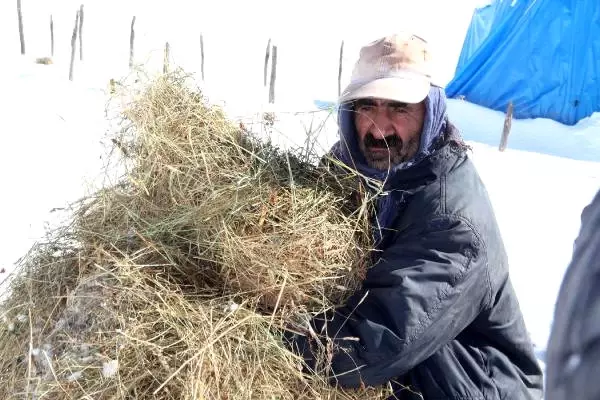 Kızakları Çalınan Köylüler, Hayvanları İçin Otları Sırtında Taşıyor