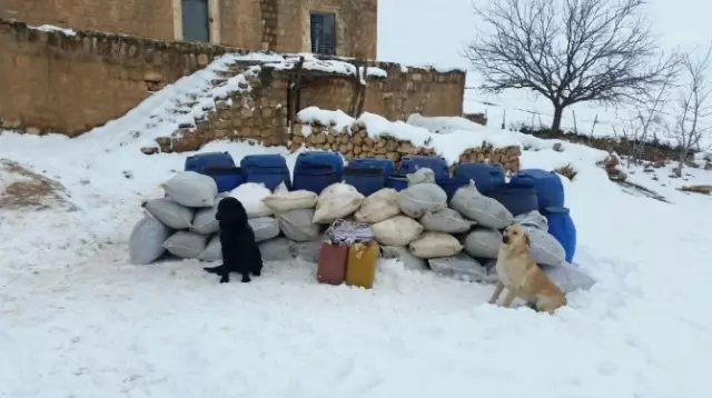 TSK, Teröristlerin Yola Döşediği Patlayıcıları İmha Etti