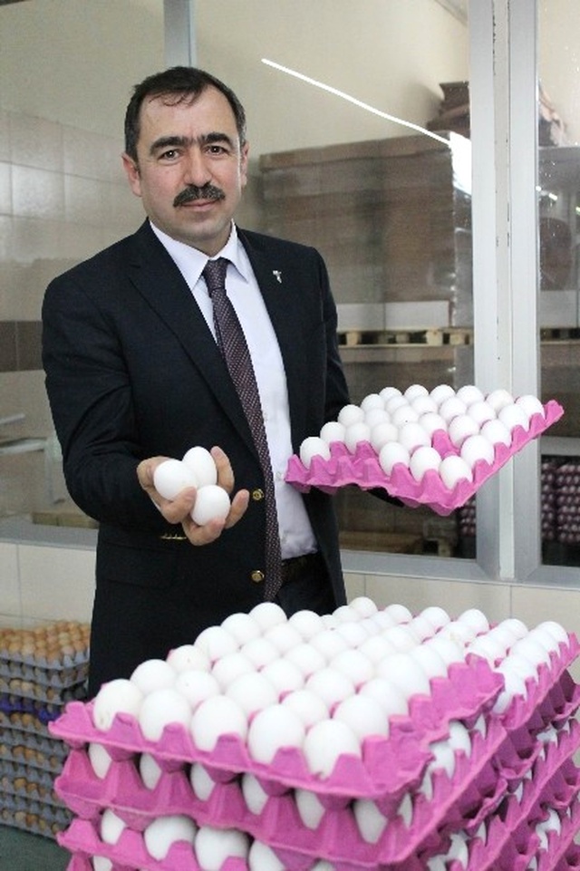 Gezen Tavuk Yumurtasında Büyük Aldatmaca Var