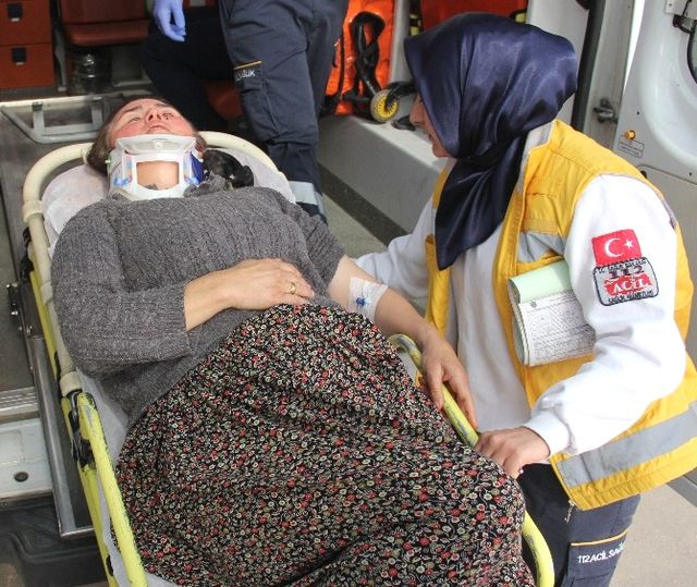 Adana'da Geline Görümce Dayağı! 1 Dönümlük Arsa İçin Hastanelik Ettiler
