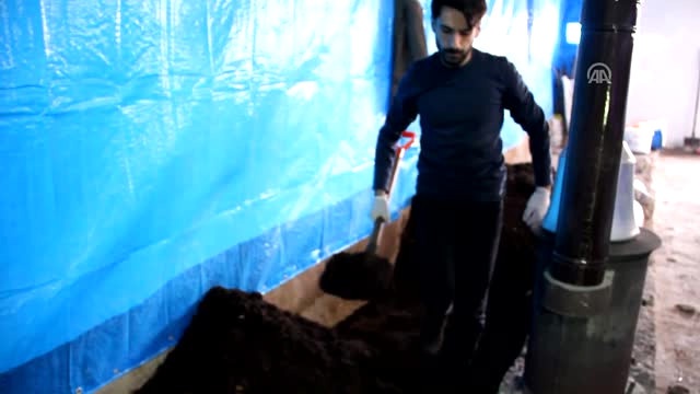 Makine Mühendisi Solucan Gübresi Üretim Tesisi Kurdu