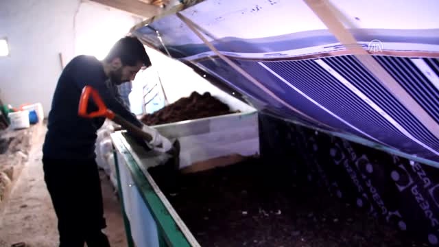 Makine Mühendisi Solucan Gübresi Üretim Tesisi Kurdu