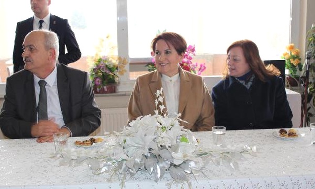 Kaybeden Meral Akşener'den Referandum Tahmini: Yüzde 56 Hayır Çıkacak