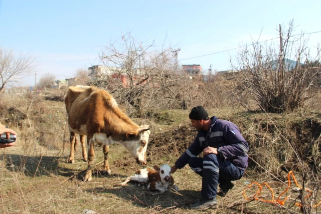 Hırsızlıktan Bıkan Köylüler, Hurdacıların Köye Girmemesi İçin Tabela Astı