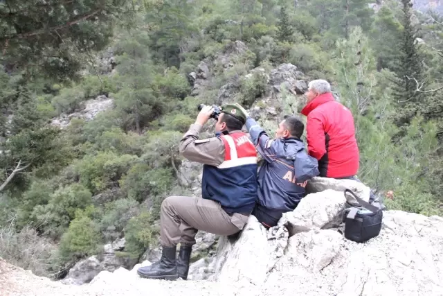 'Portakal Toplamaktan Sıkıldık' Deyip Dağa Çıkan İşçiler Kurtarıldı