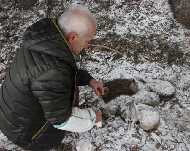 Uludağ'da Kar Altında Kalan Köpekler Birbirine Sarılarak Dondu