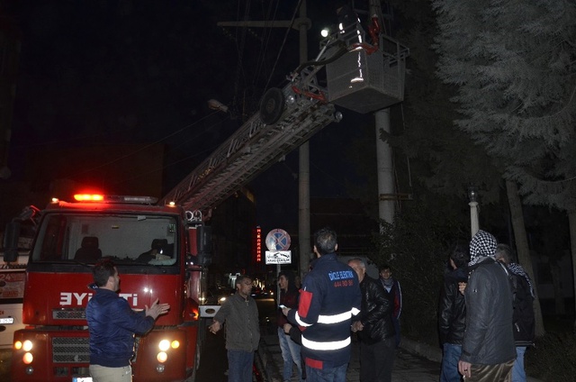 Ağaçta Mahsur Kalan Kediyi Kurtarmak İçin Şehrin Elektrikleri Kesildi