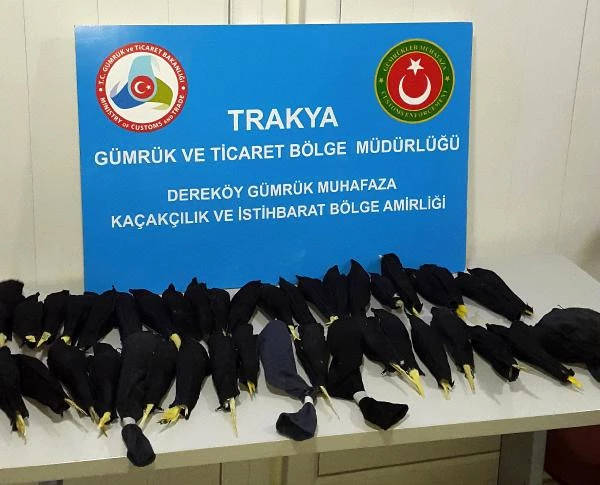 Türkiye'ye Kaçak Sokulmak İstenen 45 Sultan Papağanı Ele Geçirildi