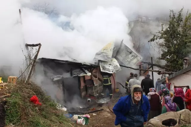 Kül Olan Ahırdaki Hayvanlar Çevreden Yetişenlerin Yardımıyla Kurtarıldı