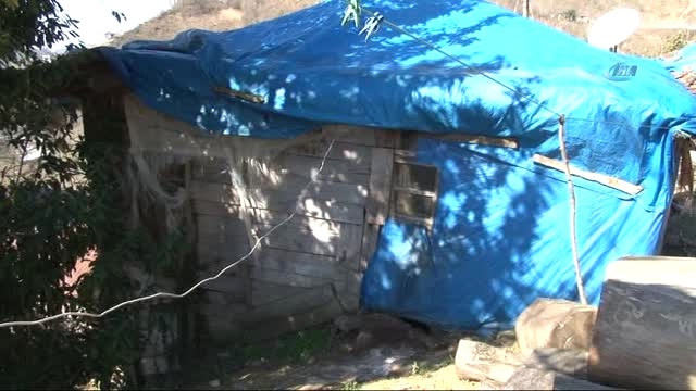 İki Kardeş, Yıkık Dökük Barakada Yaşam Mücadelesi Veriyorlar