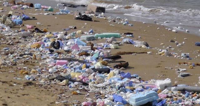Kilyos Plajının Bu Görüntüsü Görenleri İğrendirdi