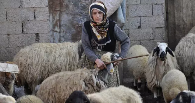 70 Yaşındaki Kadın, Hasta Anne Babasına Bakabilmek İçin Yıllarca Evlenmedi