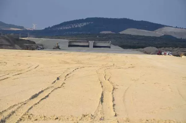 Otoyol İçin Sökülen Zeytin Ağaçları Turistik Beldelere Satıldı