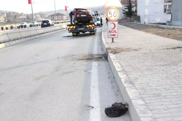 Yola Çıkan Tavuğa Çarpmamak İçin Direksiyonu Kıran Muhtar Canından Oldu