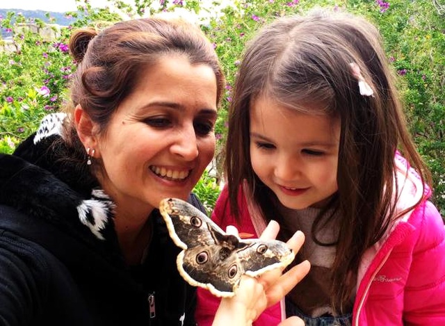 Minik Ada'nın Bulduğu Tavus Kelebeği Görenleri Mest Ediyor