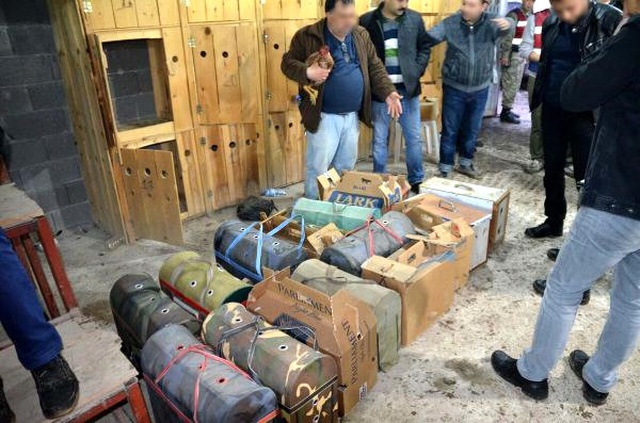 Horoz Dövüşüne Jandarma Baskını: 17 Horoz Ele Geçirildi