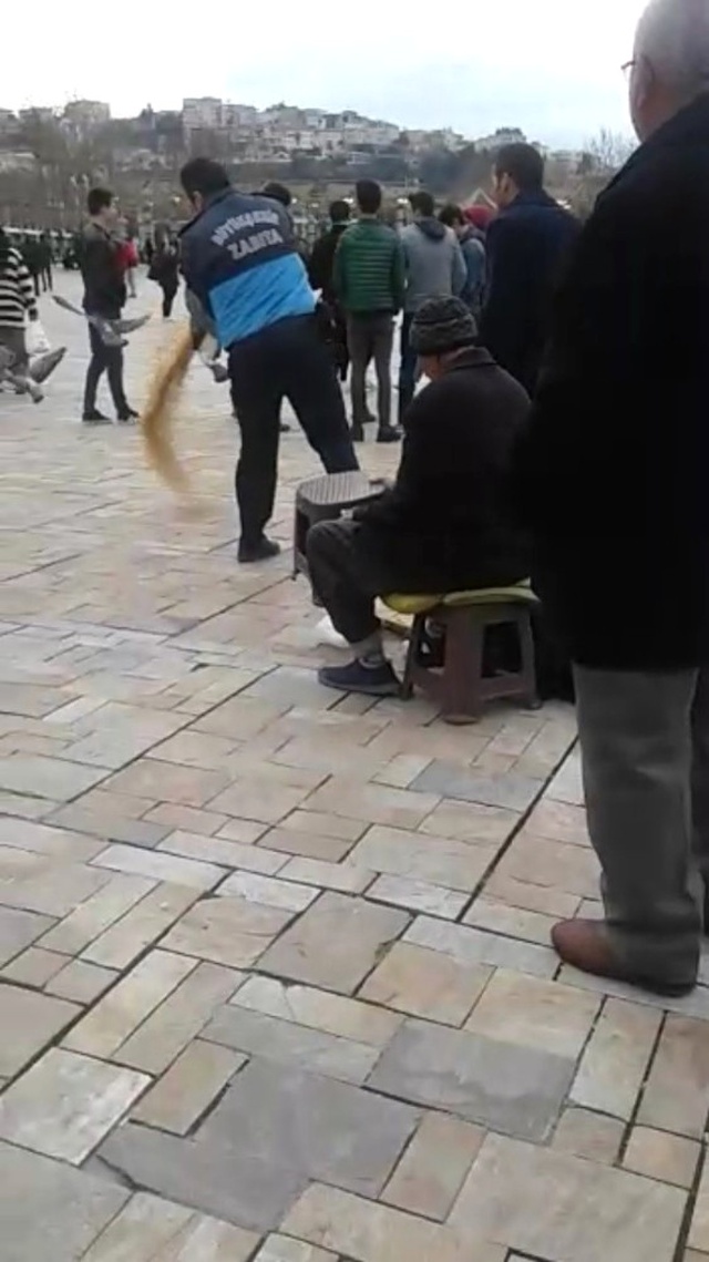 Zabıtalar, Yaşlı Adamın 1 TL'ye Sattığı Yemlerini Yerlere Döktü