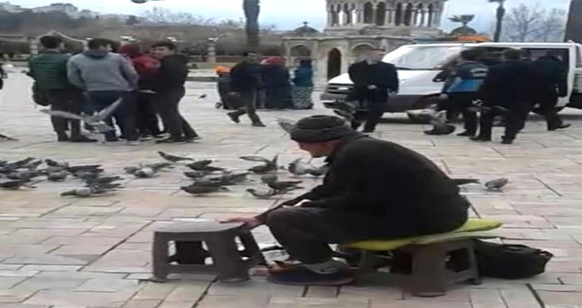 Zabıtalar, Yaşlı Adamın 1 TL'ye Sattığı Yemlerini Yerlere Döktü