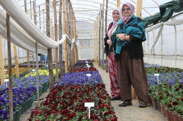 Uludağ'ın Tohumları 25 bin TL'den Dünyaya İhraç Ediliyor