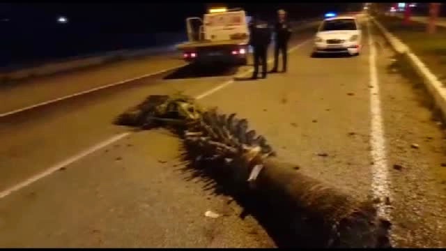 Sürücünün Çarptığı Taş Yolun Ortasına Fırladı, Umursamazlığı Can Aldı