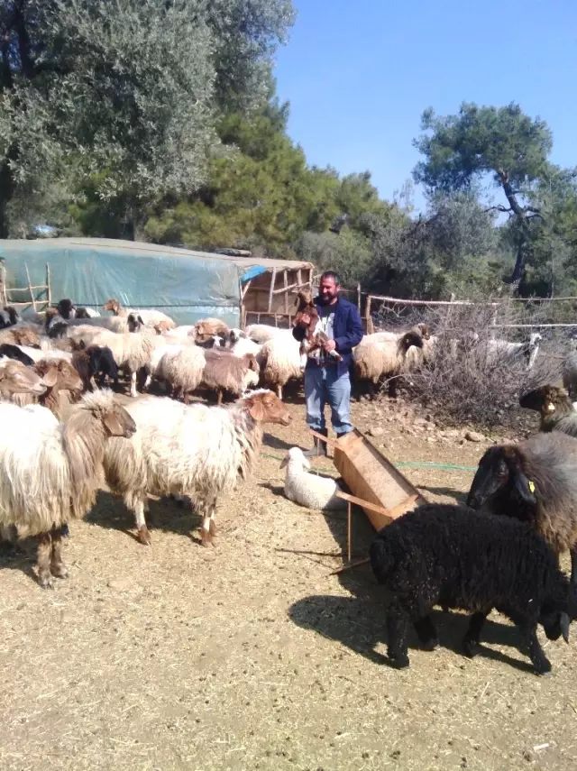 Eski Hükümlü, Cumhuriyet Başsavcılığı'nın Desteğiyle Hayata Tutundu