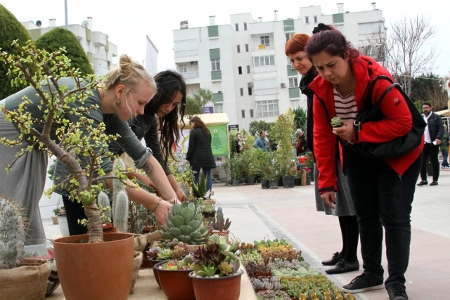 Antalya'da Kent Ağaçları Güzellik Yarışması Düzenlendi