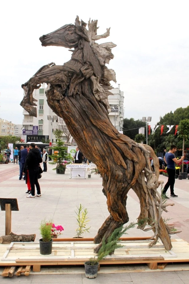 Antalya'da Kent Ağaçları Güzellik Yarışması Düzenlendi