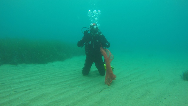 Muğla'da Dalgıçlar Deniz Altını, Çocuklar Plajı Temizledi