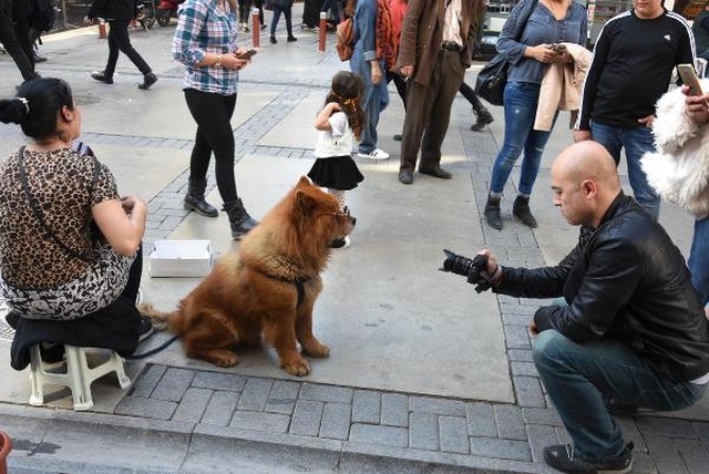 Karizmatik Köpek Max, Alsancak'a Damgasını Vurdu