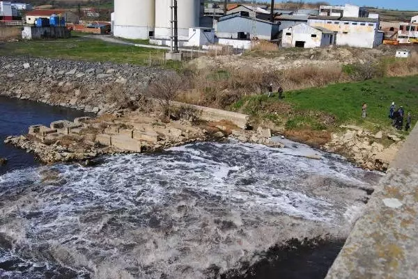 Ergene Nehri'ne Atlayan Liseli Özlem, Balık Ağlarıyla Aranıyor