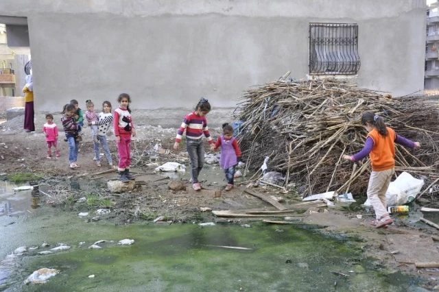 Diyarbakır'daki Kanalizasyonsuz Mahalle, Halk Sağlığını Tehdit Ediyor