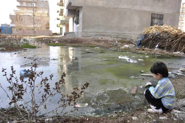 Diyarbakır'daki Kanalizasyonsuz Mahalle, Halk Sağlığını Tehdit Ediyor