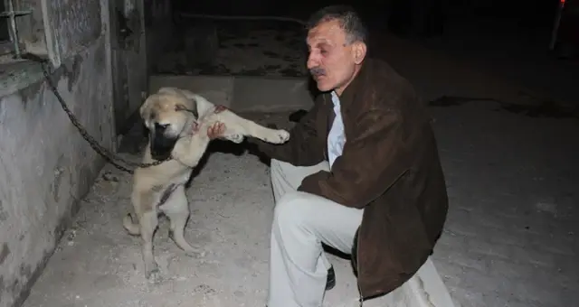 Evi Yanan Adam, Alevlerin Arasında Kalan Köpeğini Kurtarmayı Başardı