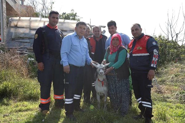 Yaşlı Kadın, Kuyuya Düşen Gebe Keçisi Kurtarılınca Gözyaşlarını Tutamadı