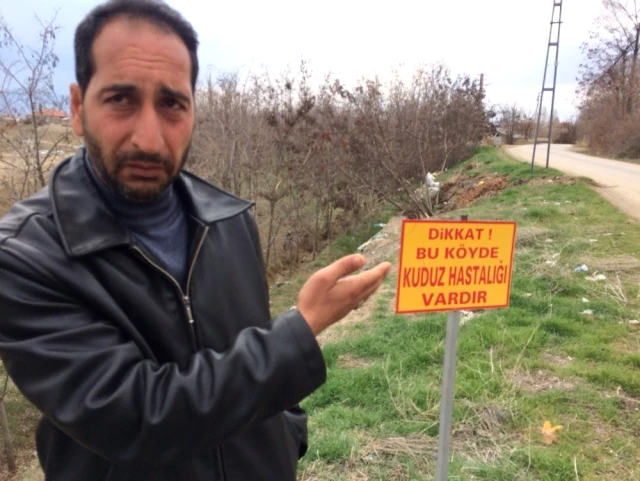Elazığ'da Bir Kişiyi Isıran Kuduz Köpek, Tüm Köyü Karantinaya Aldırdı